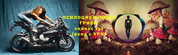 таблы Алзамай