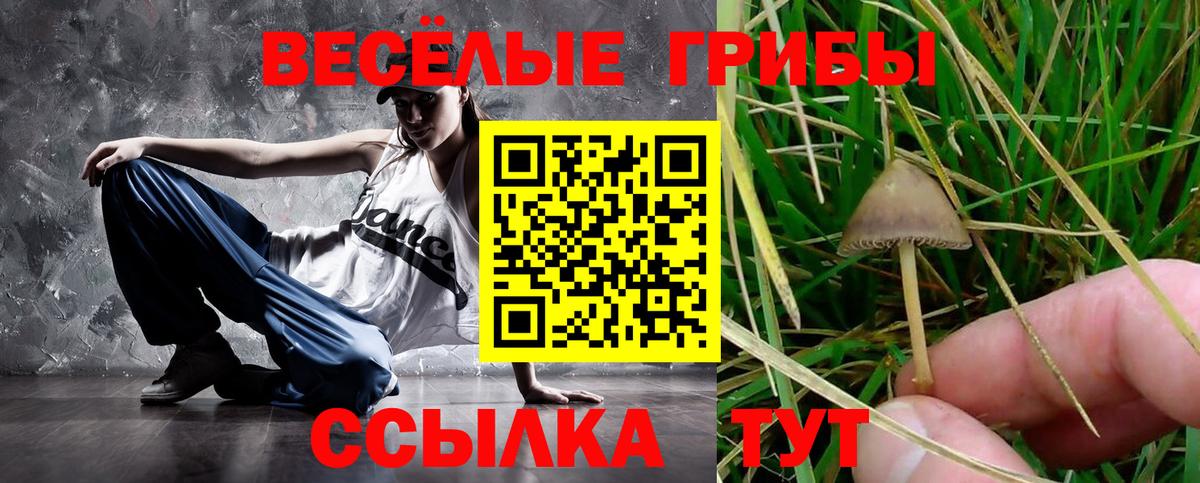 Галлюциногенные грибы MAGIC MUSHROOMS Старая Русса