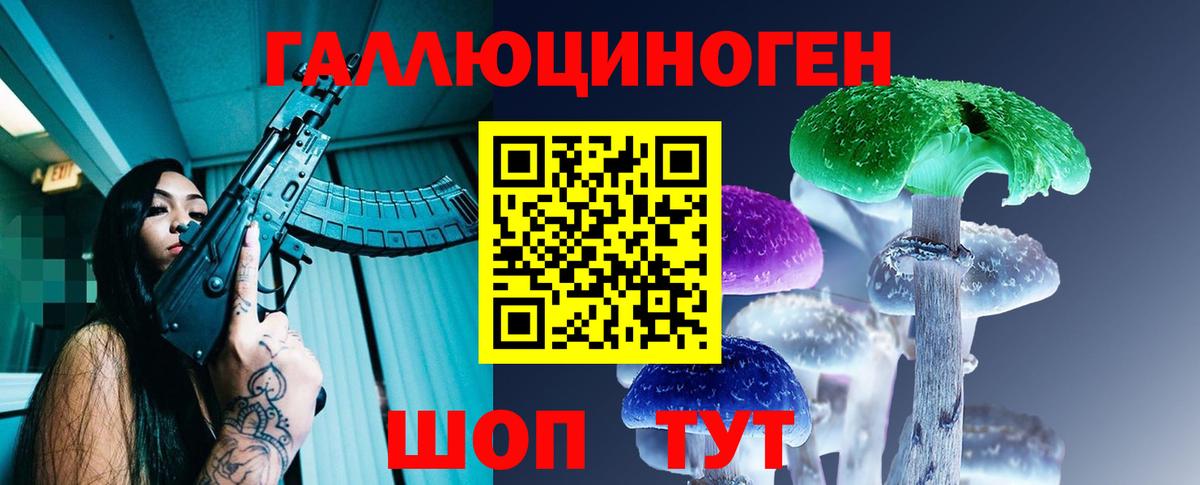 Псилоцибиновые грибы Psilocybe  Вход с VPN  Старая Русса 